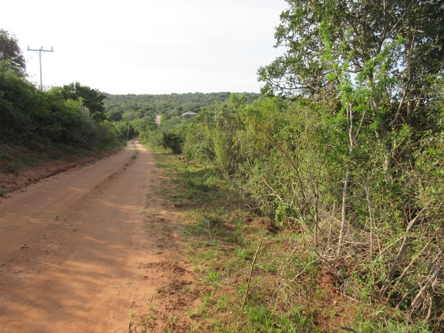 0 Bedroom Property for Sale in Bathurst Eastern Cape